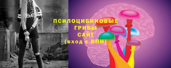 наркотики Белокуриха