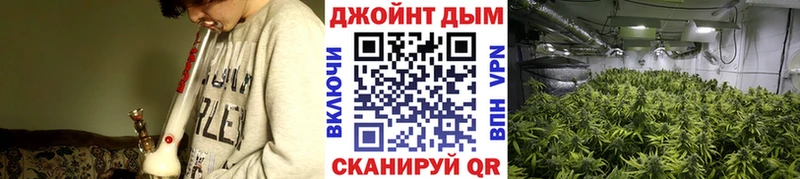Бошки Шишки White Widow  Вуктыл 